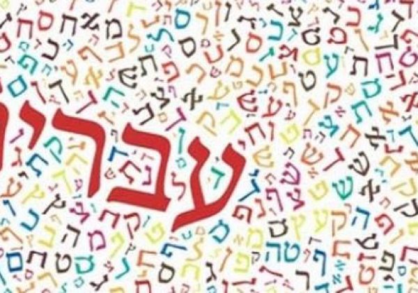 עברית